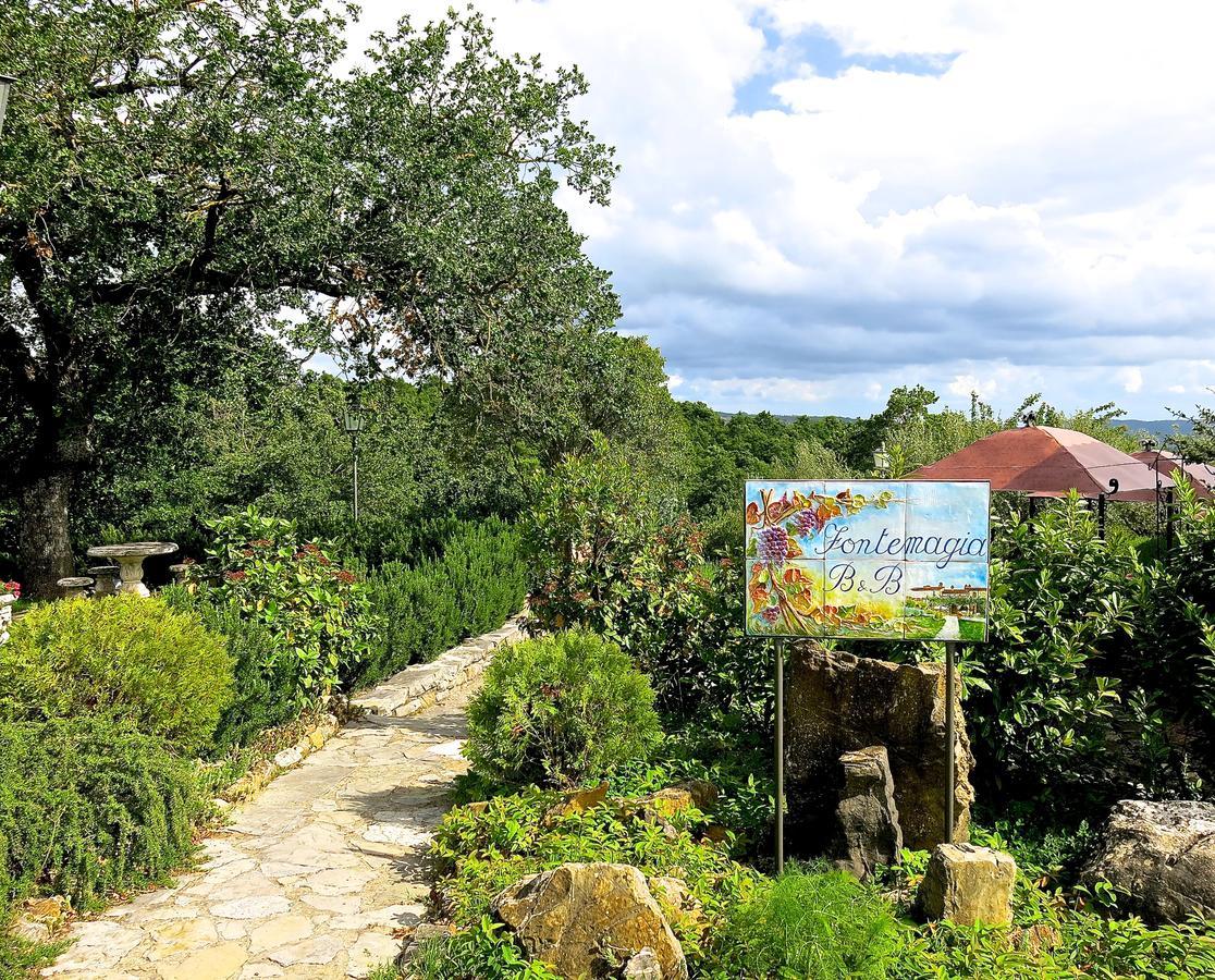 Fonte Magia Bed & Breakfast Castel de' Fiori Екстериор снимка